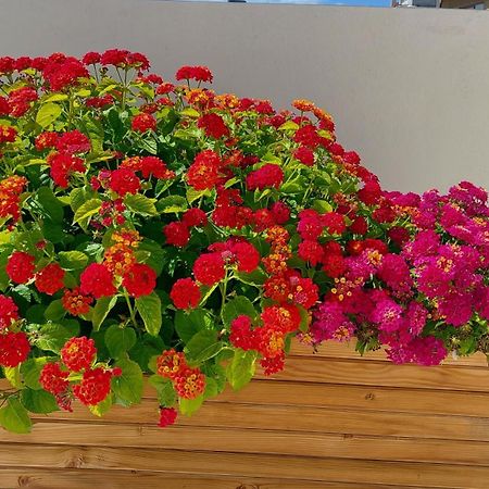 Elegant Apartment In The Heart Of Heraklion Ngoại thất bức ảnh