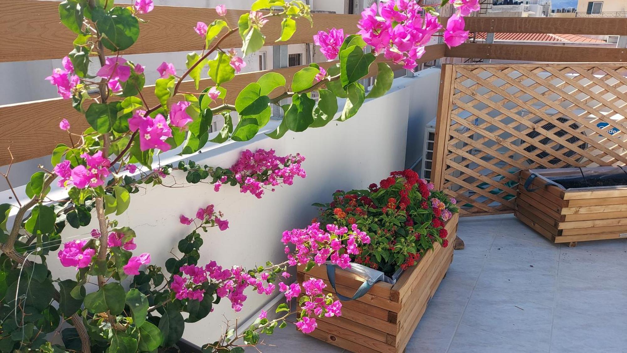 Elegant Apartment In The Heart Of Heraklion Ngoại thất bức ảnh